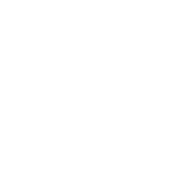 Logo da loja STAV