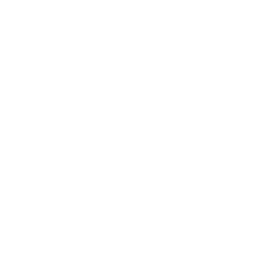 Logo da loja Vex