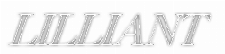 Logo da loja Lilliant