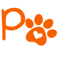 Petizito Art - Camisetas e produtos personalizados