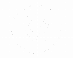 Logo da loja ZN Original