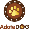 Loja AdoteDog - Camisetas e produtos personalizados