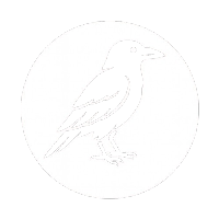 GFS ARTISTIC FHASION MODEL  - Camisetas e produtos personalizados