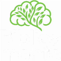 BIblicamente - Camisetas e produtos personalizados