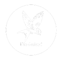 Não desista! - Camisetas e produtos personalizados