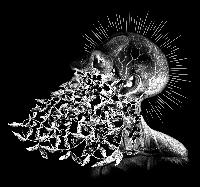 Bruno Café Sforcin - Camisetas e produtos personalizados