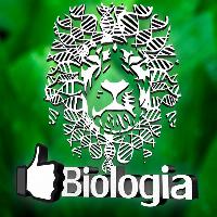 Peita Maromba - Camisetas e produtos personalizados