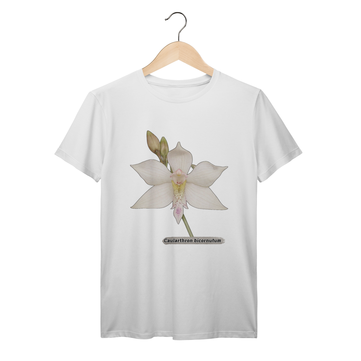 Camiseta Orquídea - Caularthron bicornutum