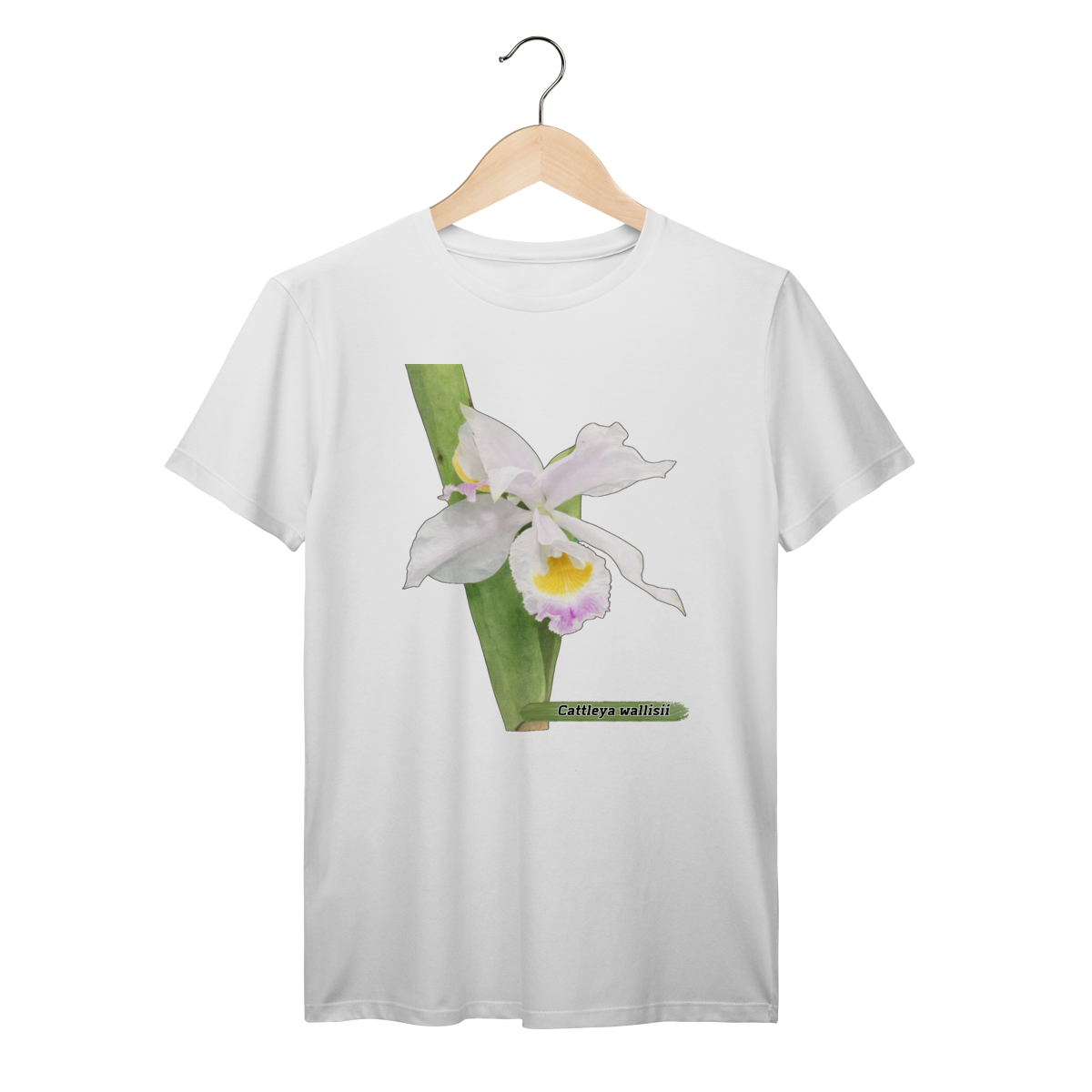 Camiseta Orquídea - Cattleya wallisii
