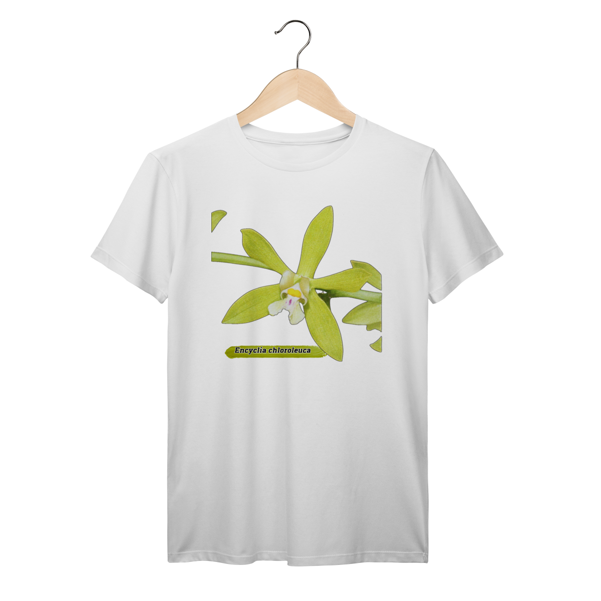 Camiseta Orquídea - Encyclia chloroleuca