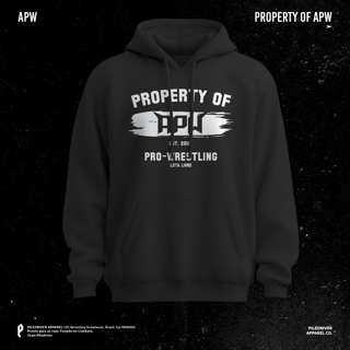 Moletom com capuz APW - Property of APW