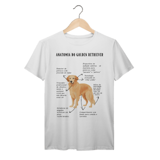 ANATOMIA DO GOLDEN RETRIEVER