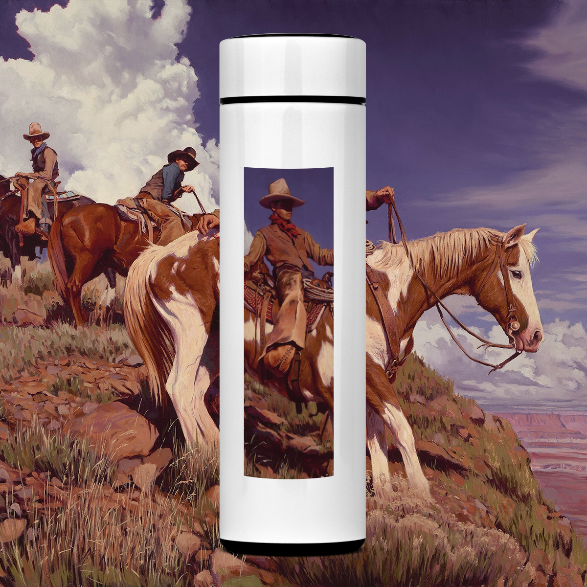 High sun in Arizona - Garrafa Térmica