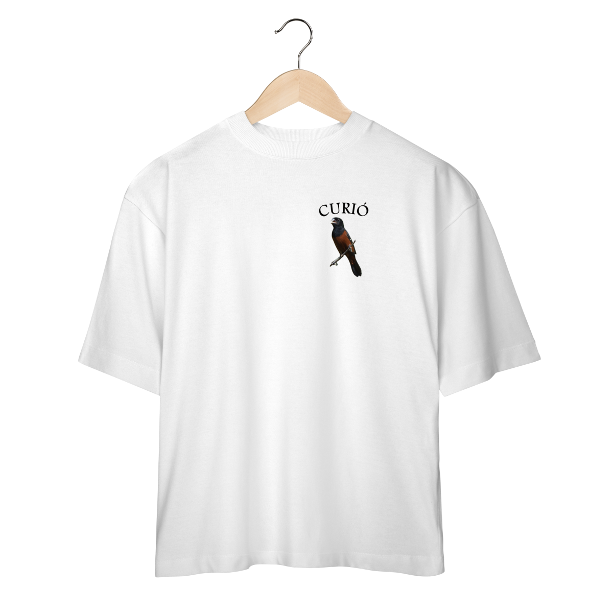 CAMISETA OVERSIZED CURIÓ