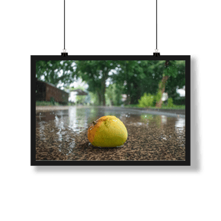 Poesia da Cidade das Mangueiras