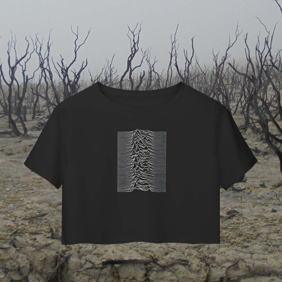 Unknown Pleasures (cropped)
