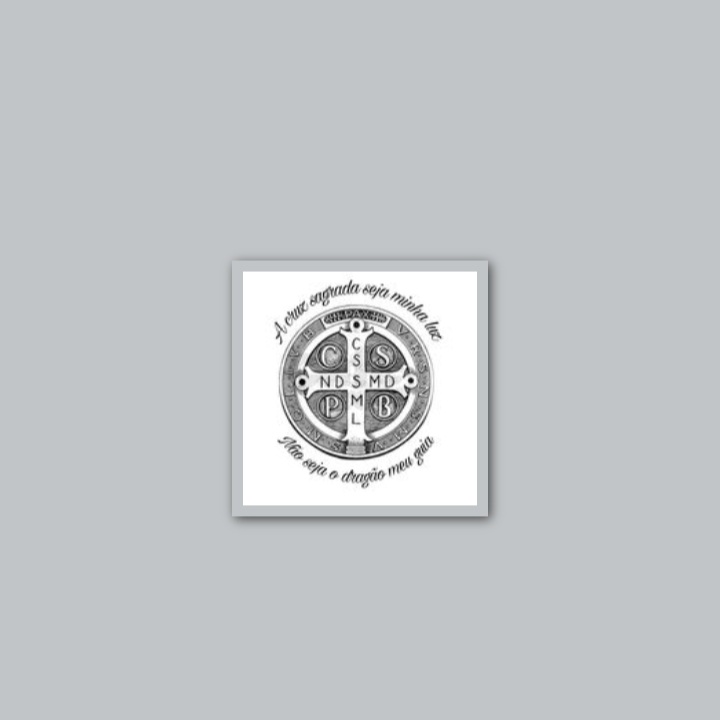 Nome do produto: Polo feminina