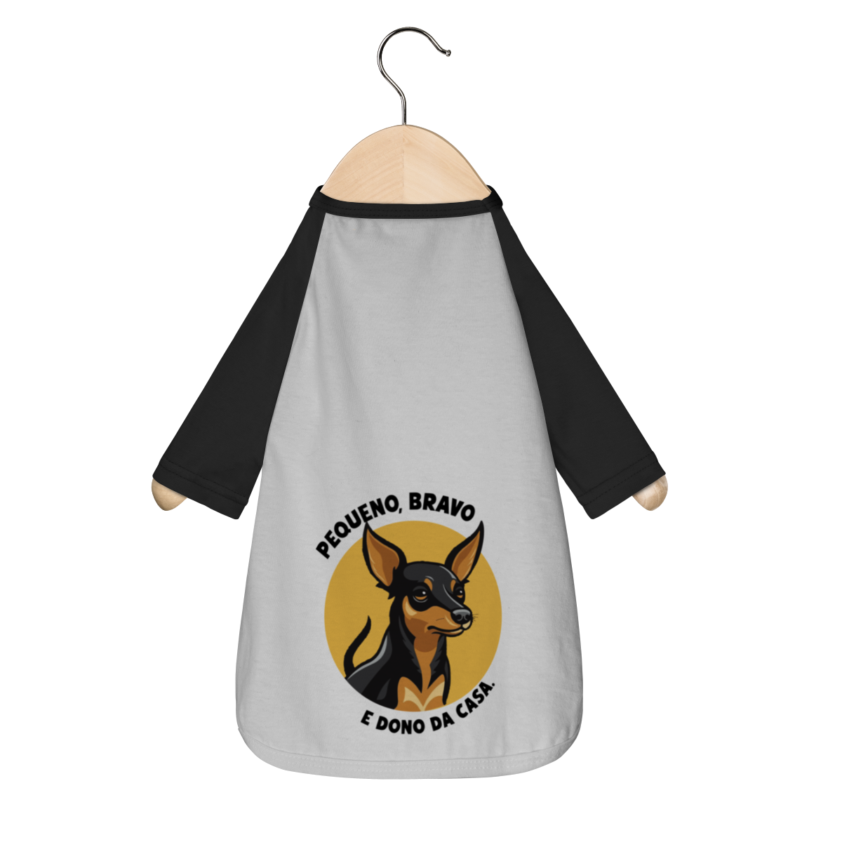 Pinscher Menino: Pequeno, bravo e dono da casa