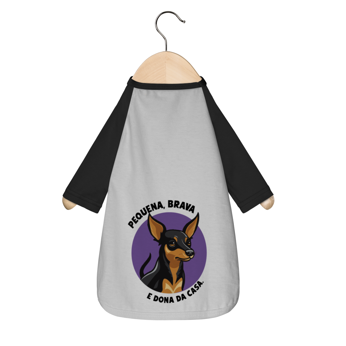 Pinscher Menina: Pequena, brava e dona da casa