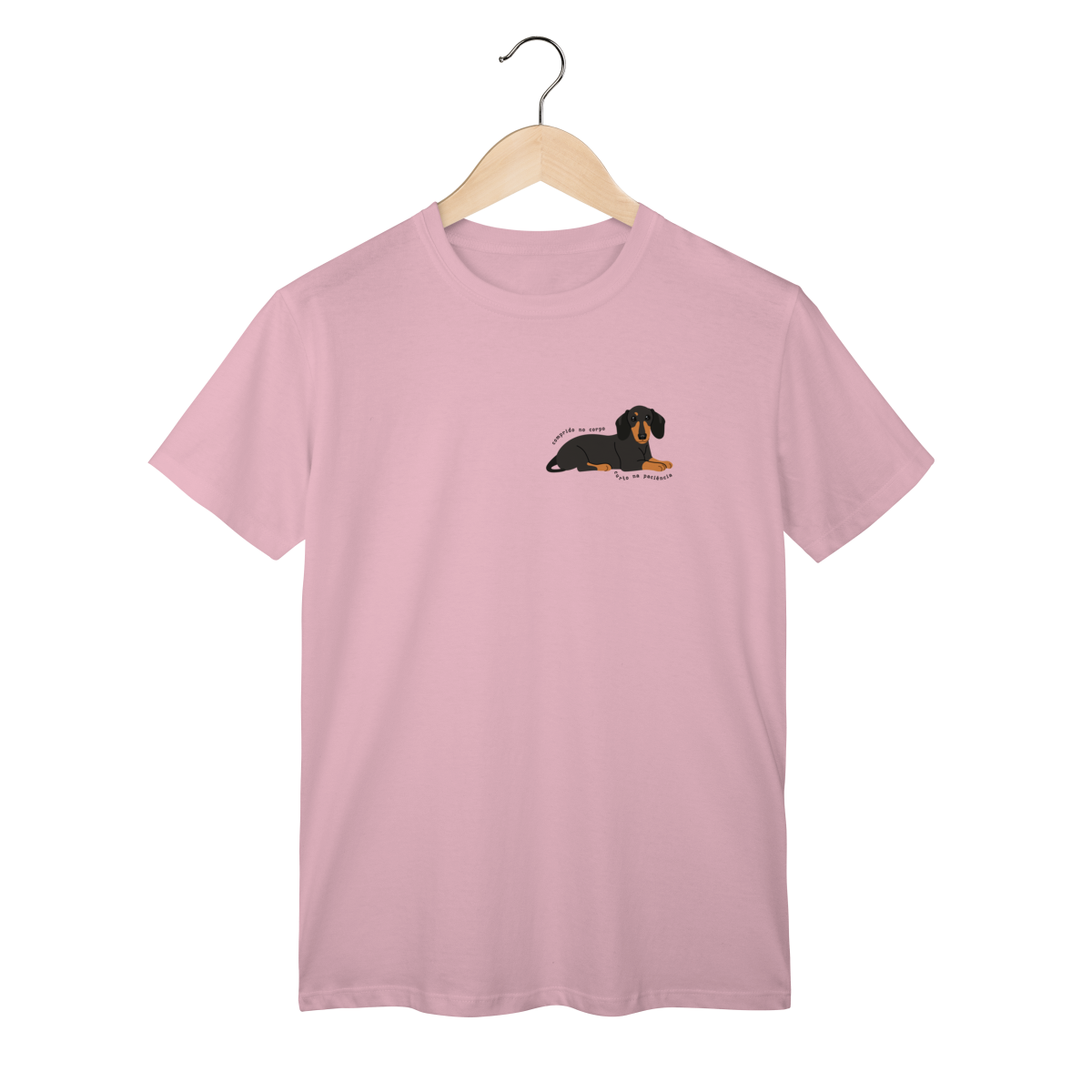 Dachshund Pequeno- Comprido no corpo e curto na paciência