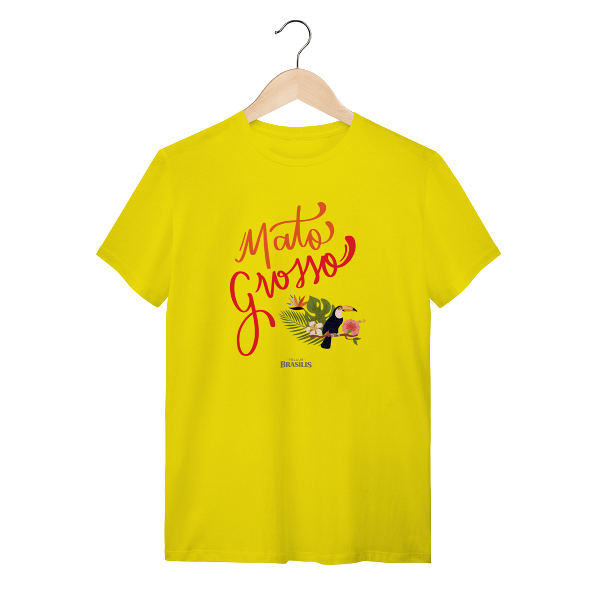 Mato Grosso - Brasil