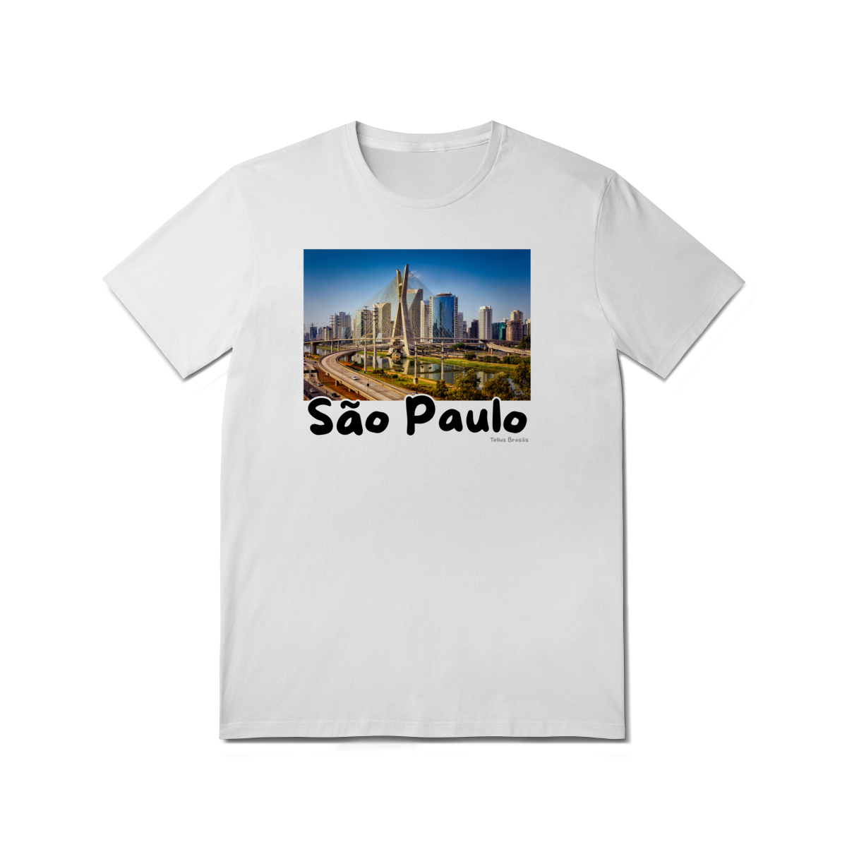 Ponte Estaiada - São Paulo