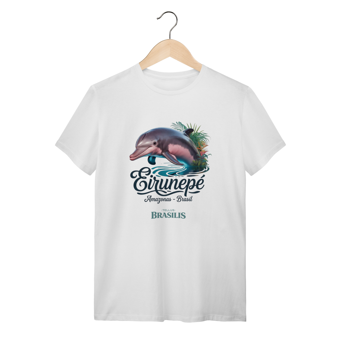 Eirunepé - Amazonas - Brasil