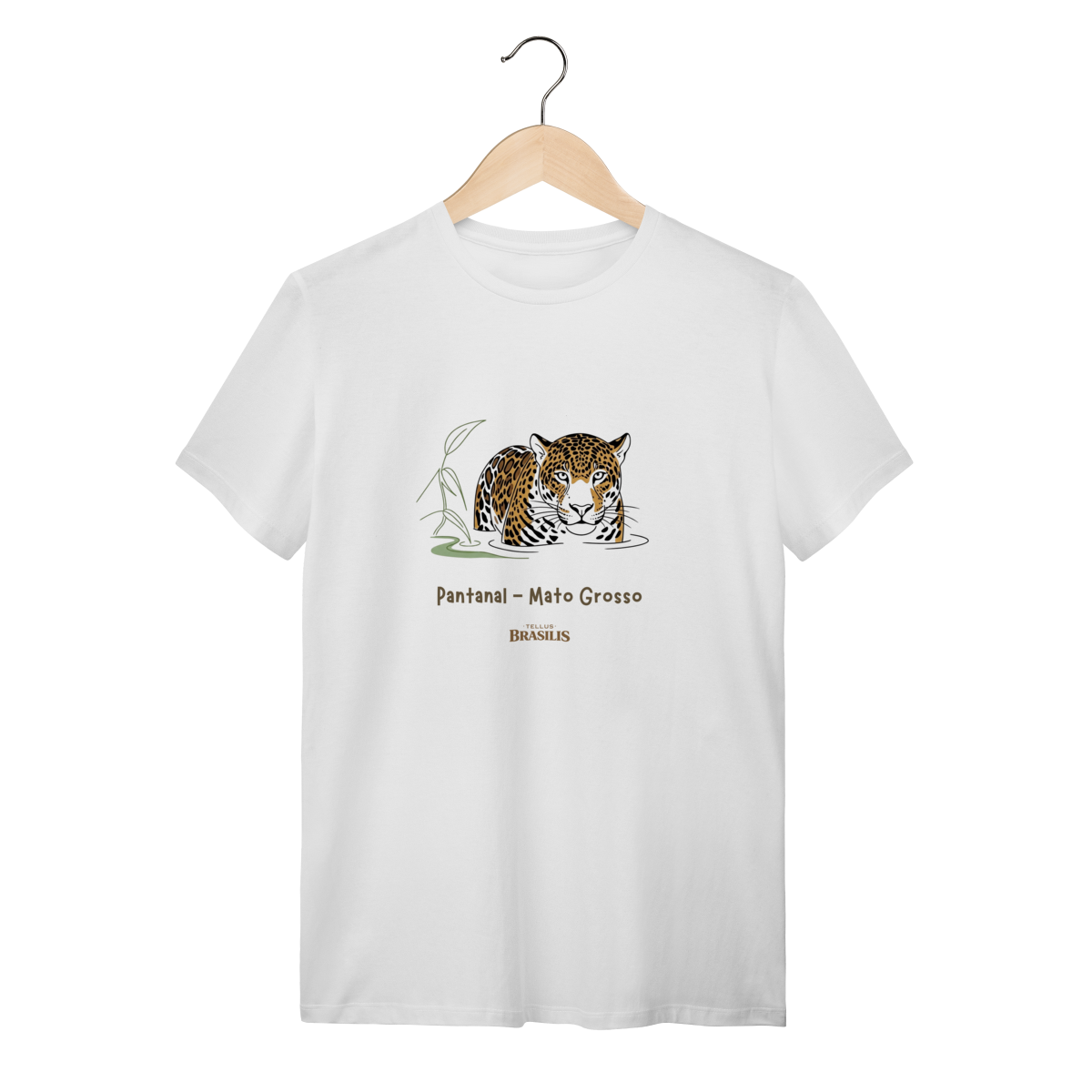 Onça Pintada - Pantanal - Mato Grosso