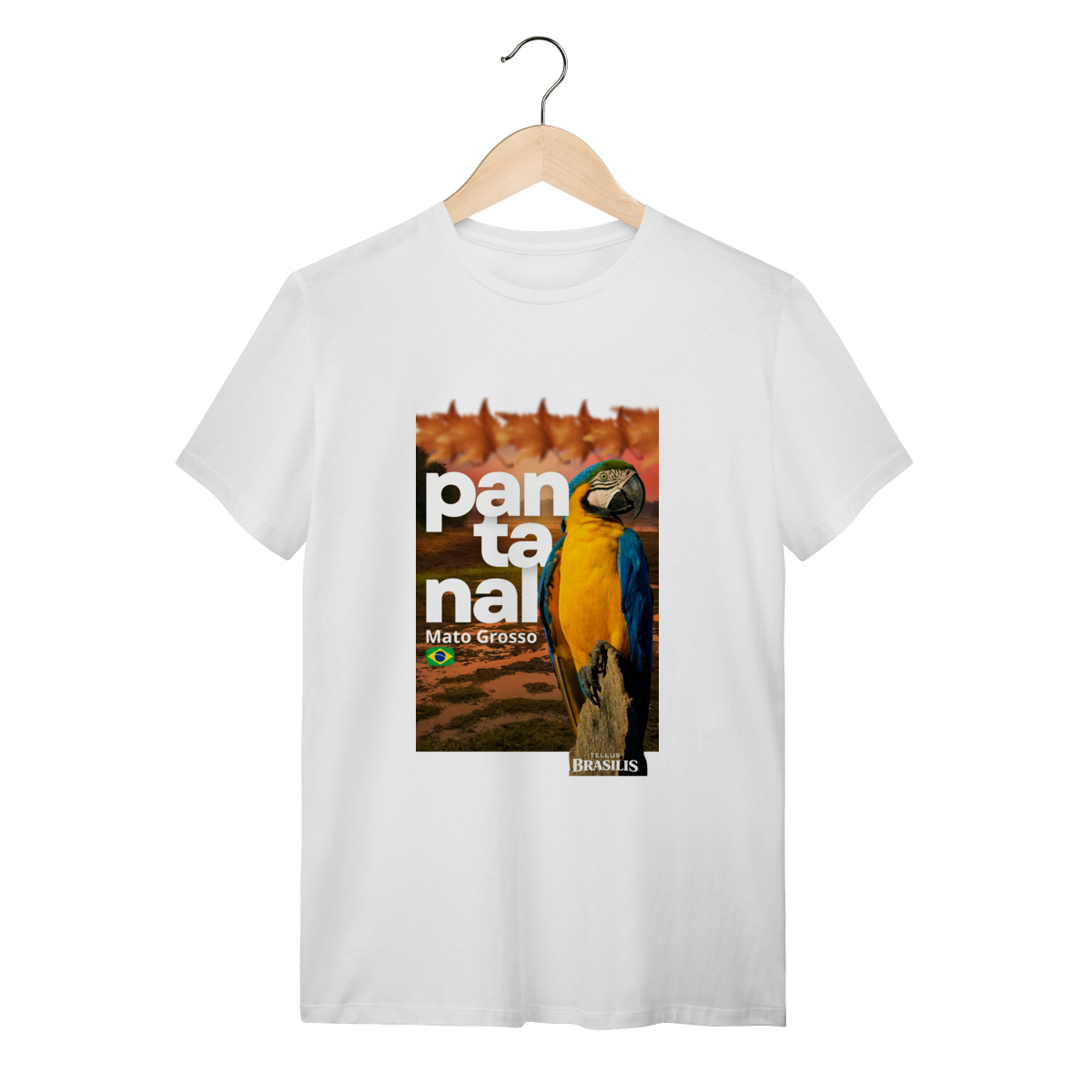 Pantanal - Arara - Mato Grosso - Brasil