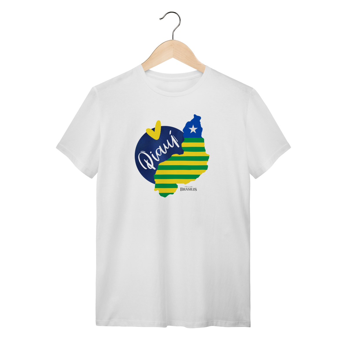 Mapa do Piauí - Brasil