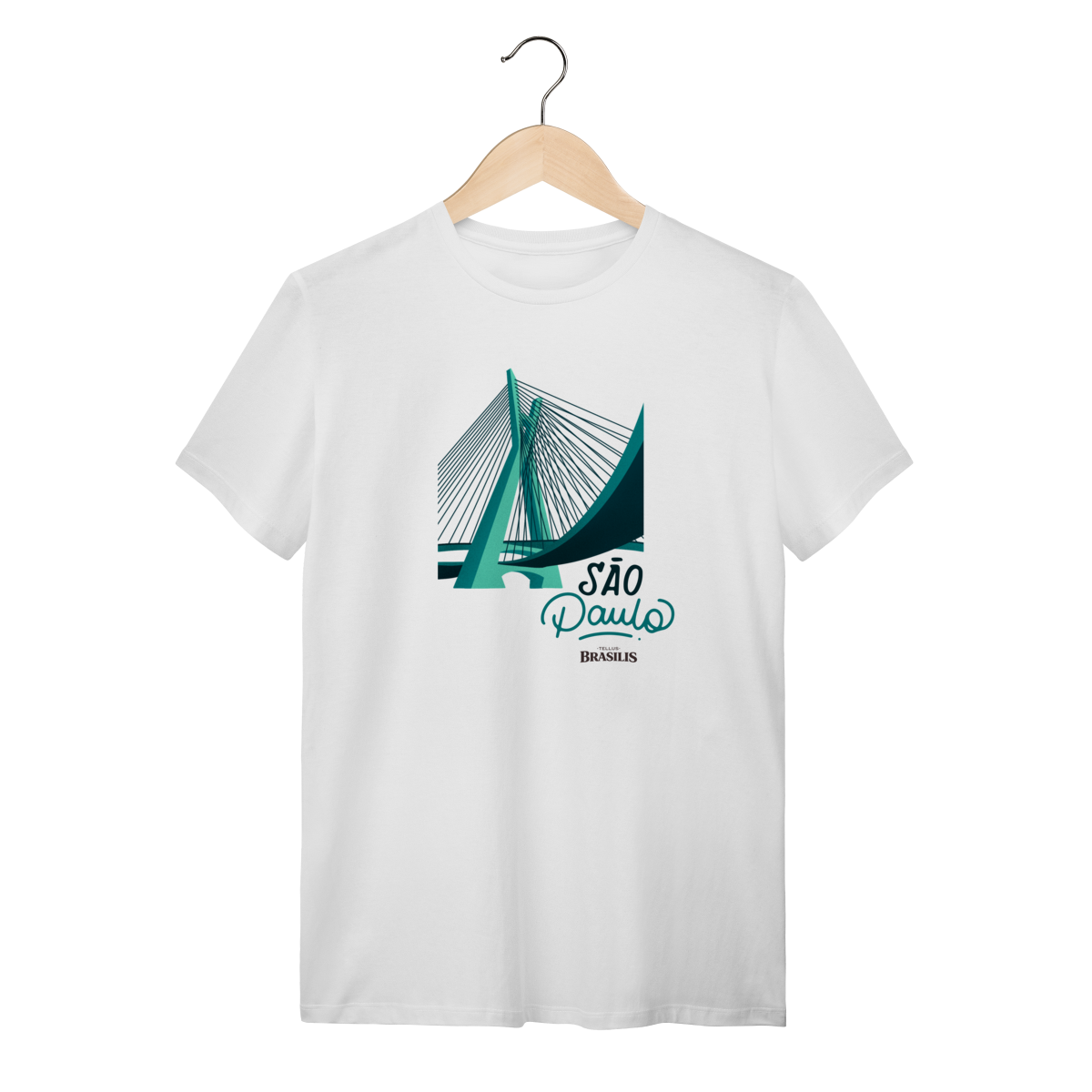 Ponte Estaiada Octávio Frias - São Paulo