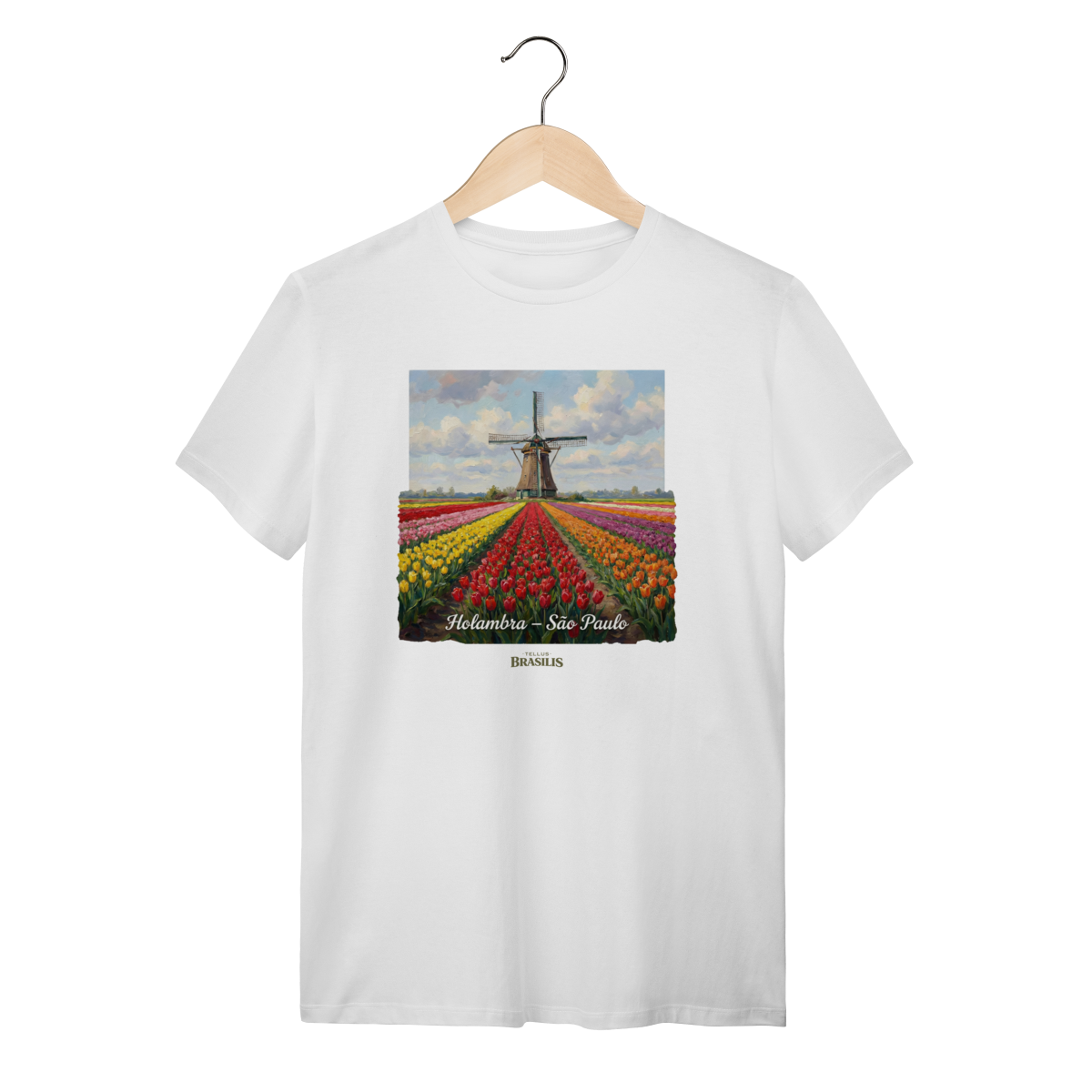 Campos floridos - Holambra - São Paulo