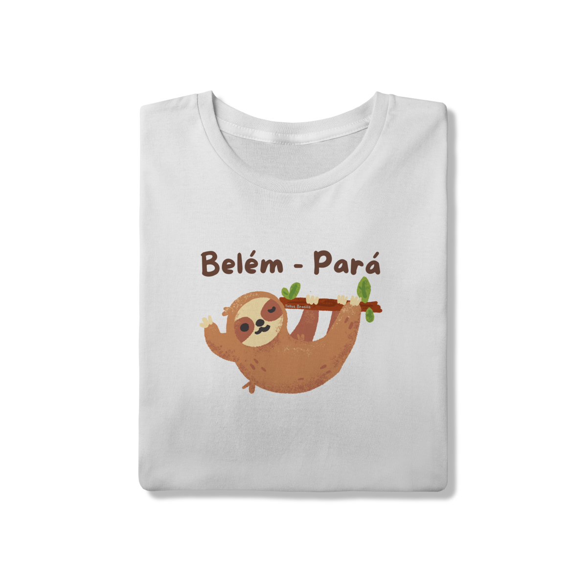 Bicho Preguiça - Belém do Pará