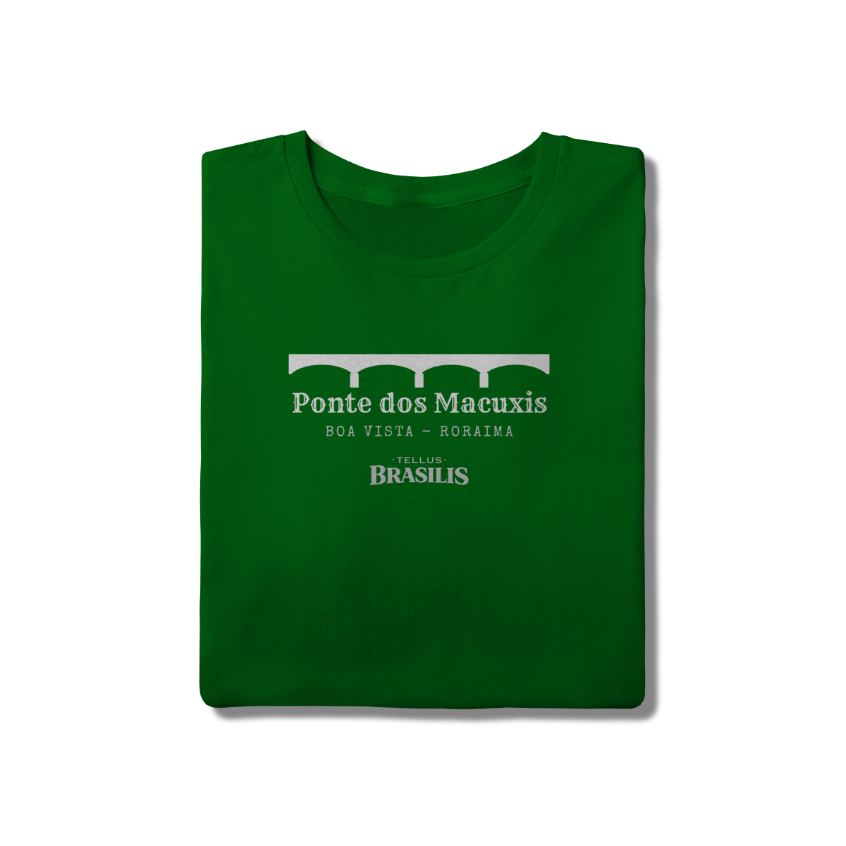 Ponte dos Macuxis - Boa Vista - Roraima