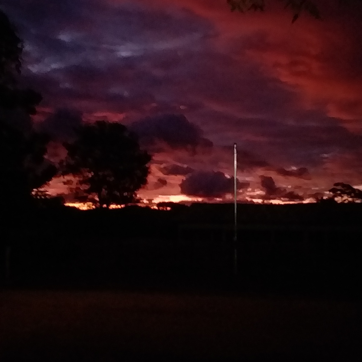 Nome do produto: Camisa com estampa com o por do sol 