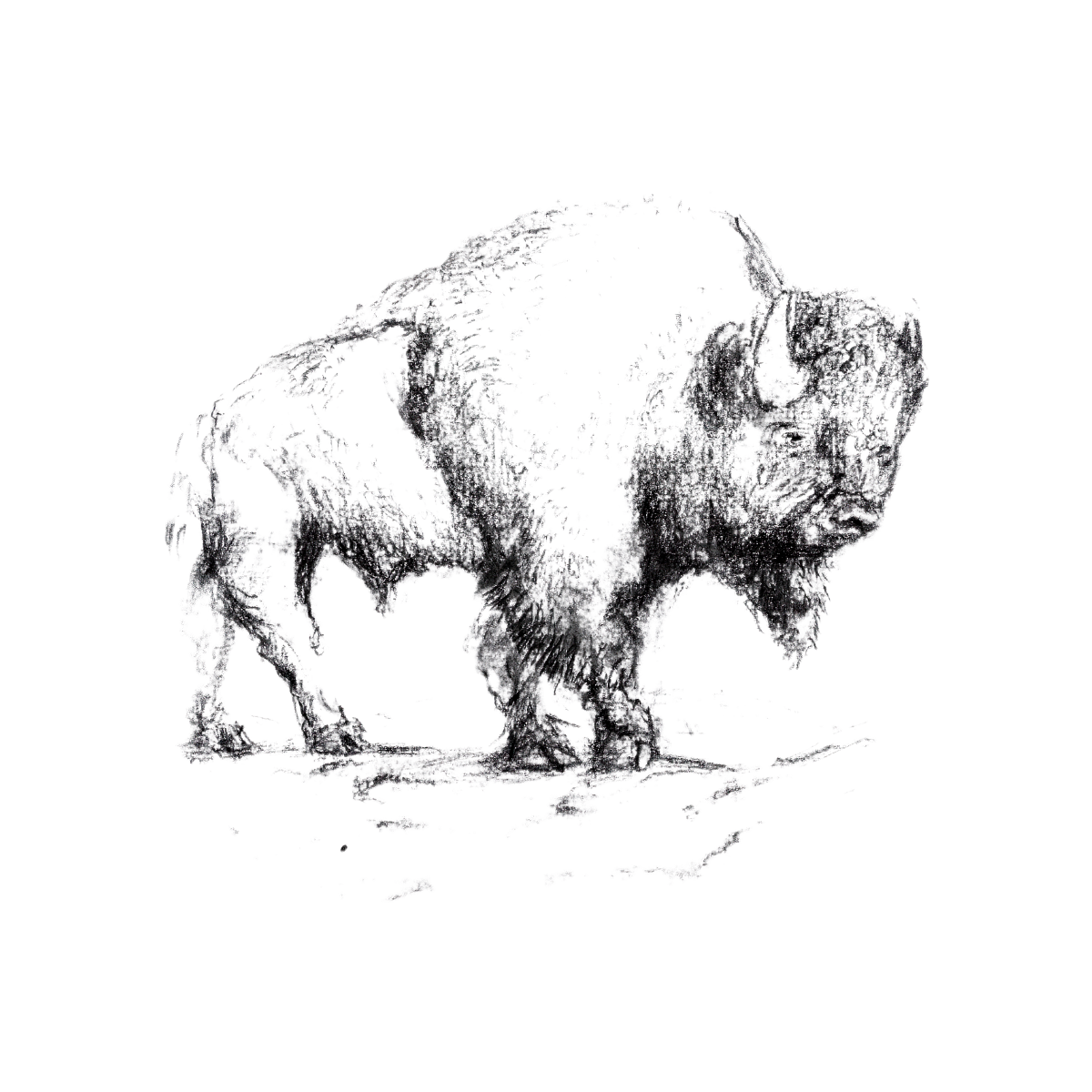 Nome do produto: Big Bison - feminine