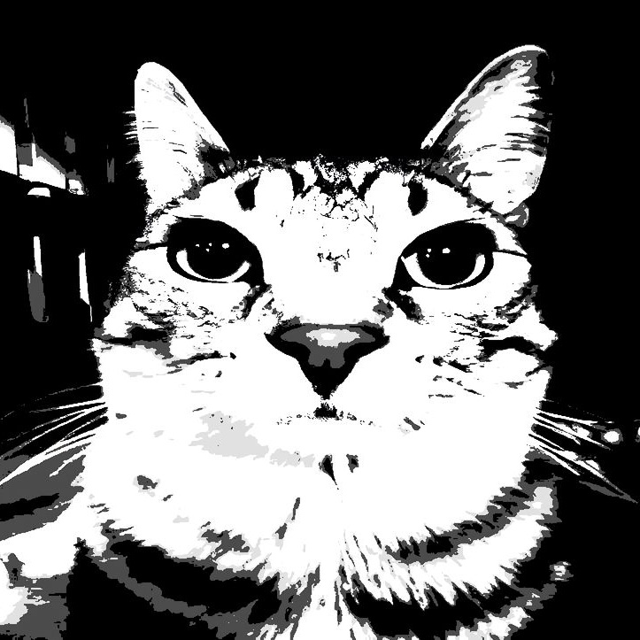 gatinho nerd (polo preta)