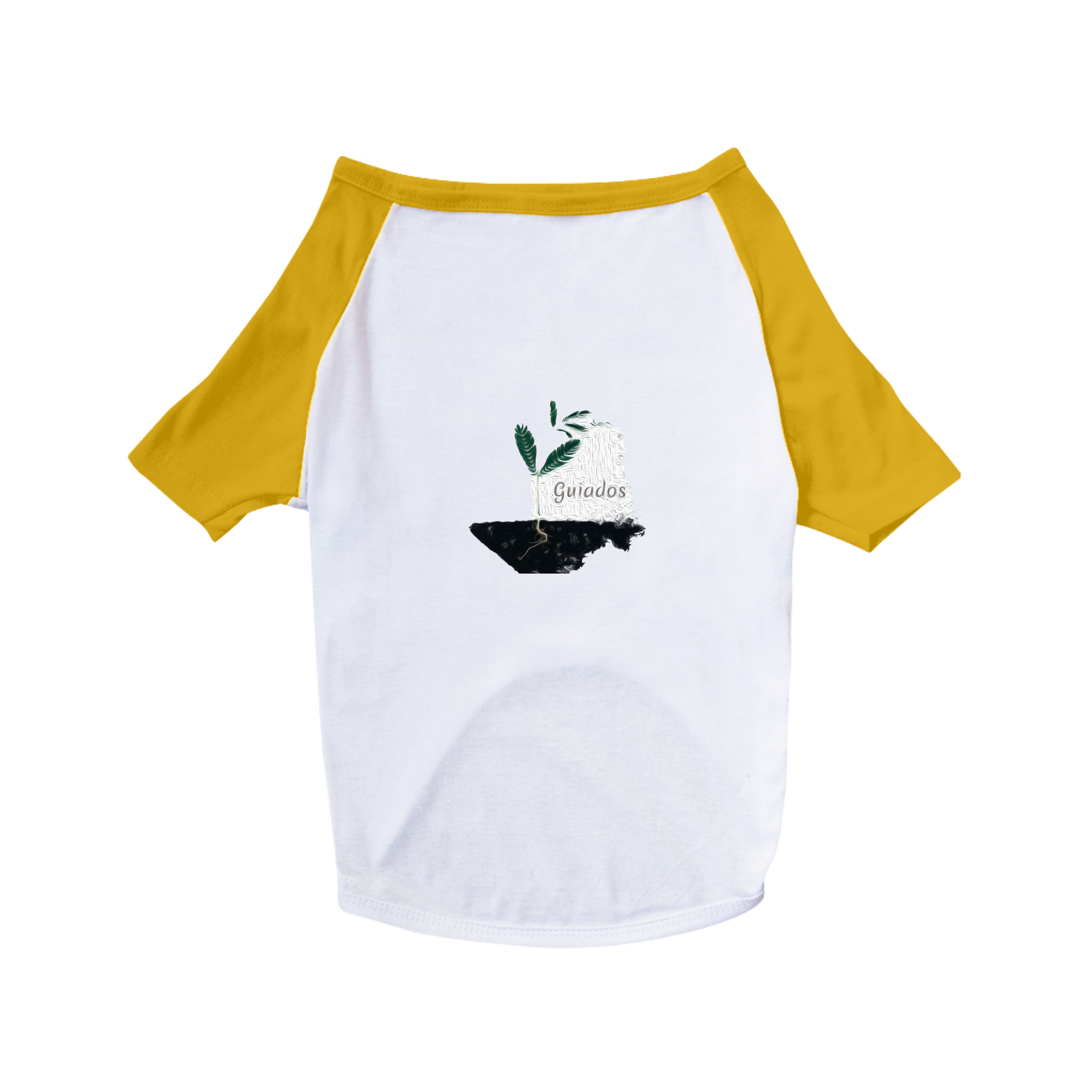 Nome do produto: Dog Guiados 