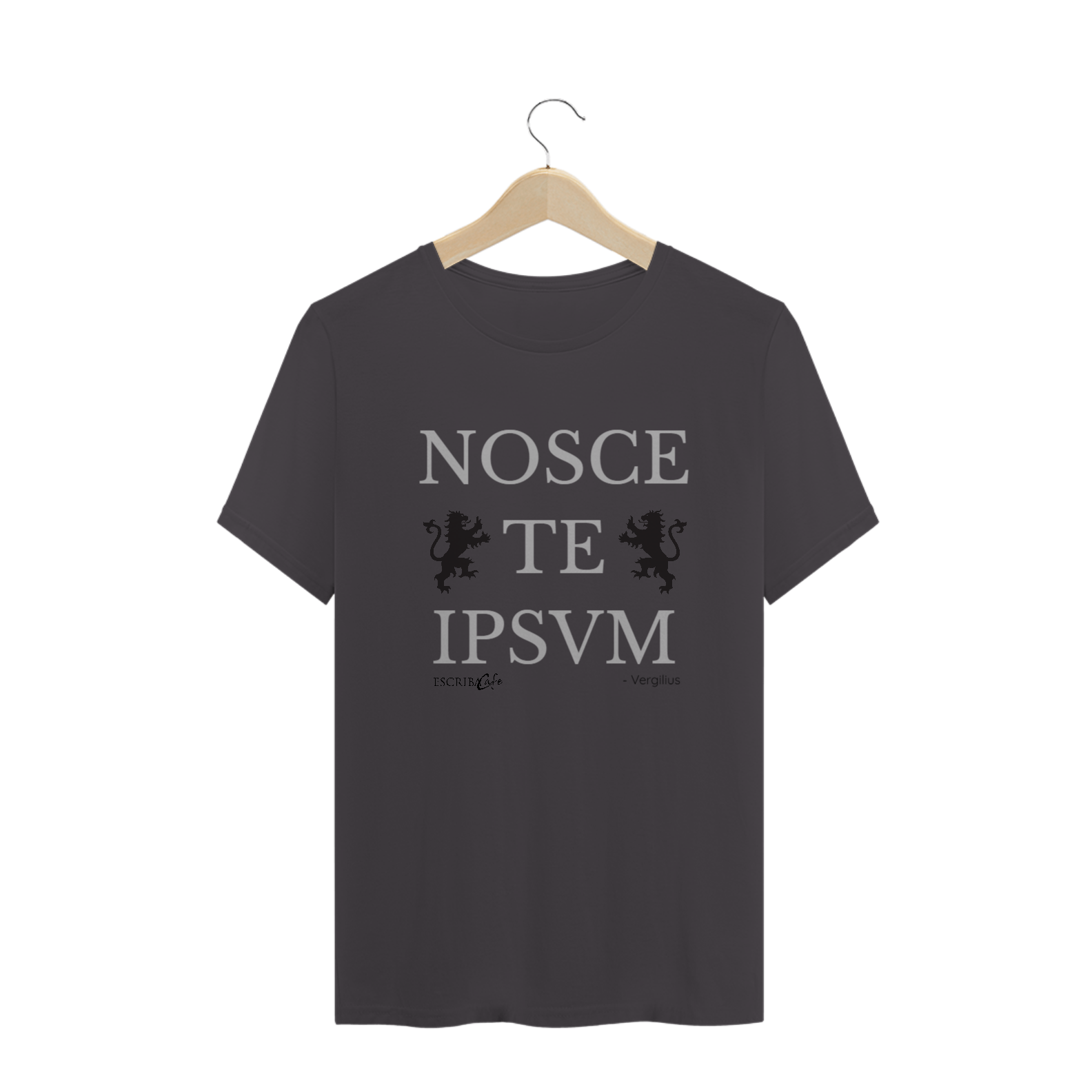 Nome do produto  Camiseta envelhecida Nosce Te Ipsum B