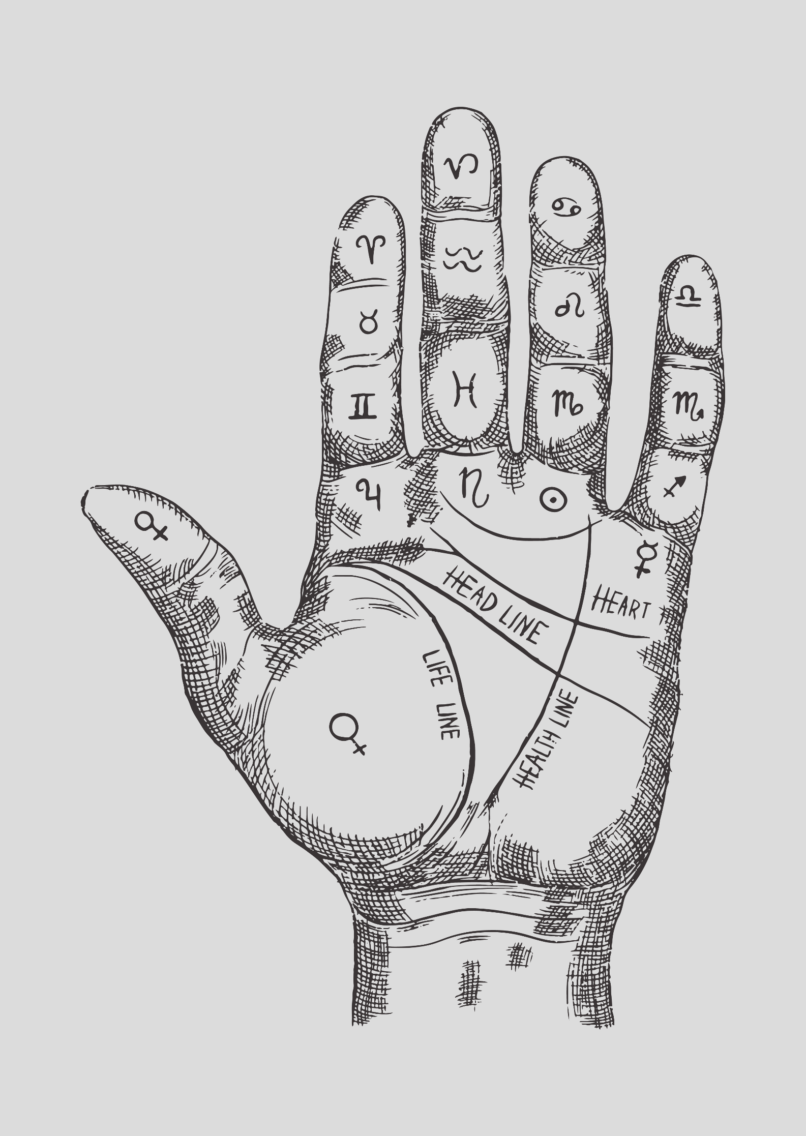 Nome do produto: Poster Quirologia