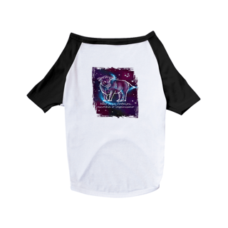 Camiseta para Pet | Touro | Não faça rodeios, escolha o veganismo | Color