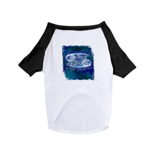 Camiseta para Pet | Câncer | Animais são amigos, não comida! | Color