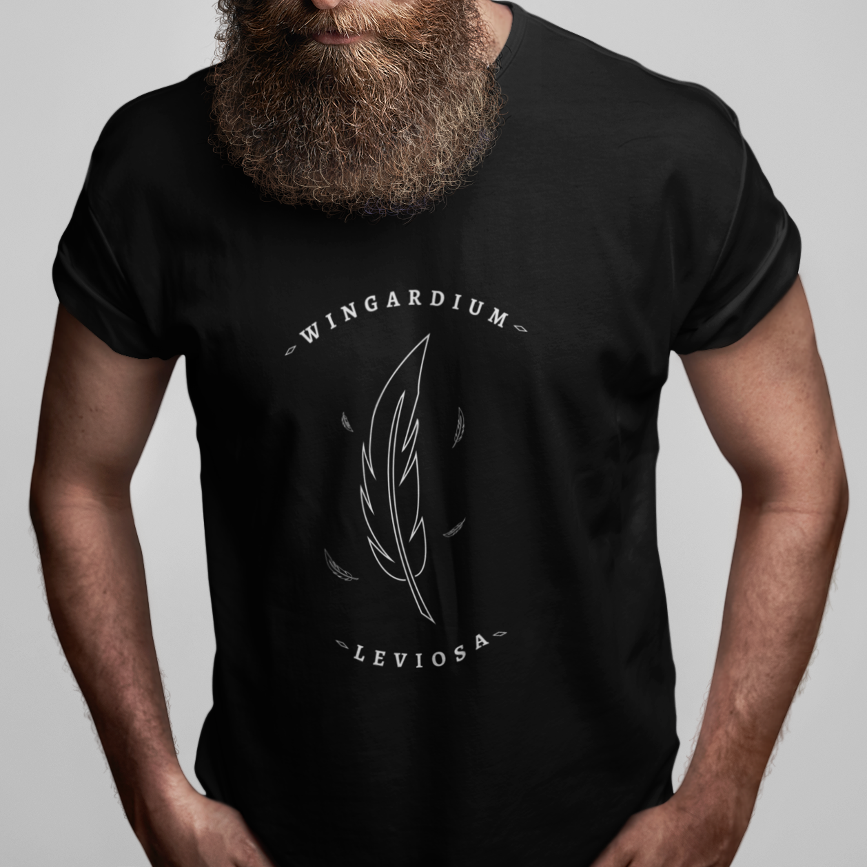Nome do produto: Wingardium Leviosa - Camiseta
