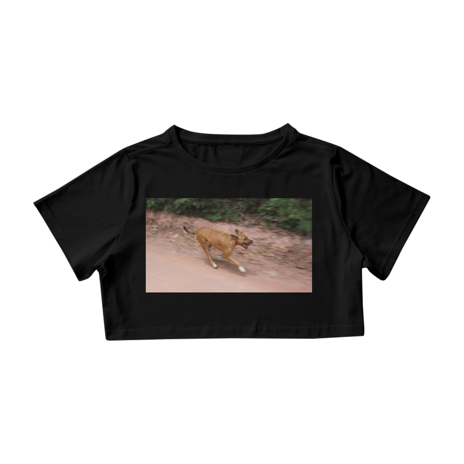 Nome do produto: Bahia - Cumuruxatiba