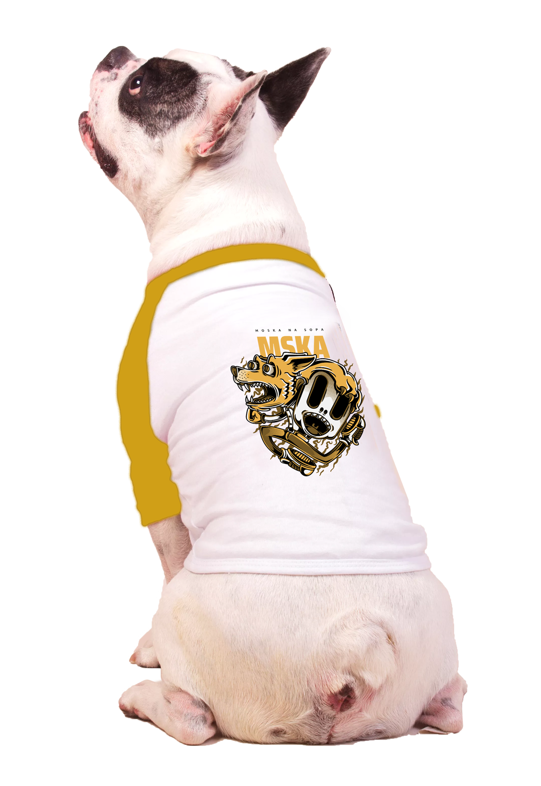 Nome do produto: Camiseta Pet Raglan MSKA