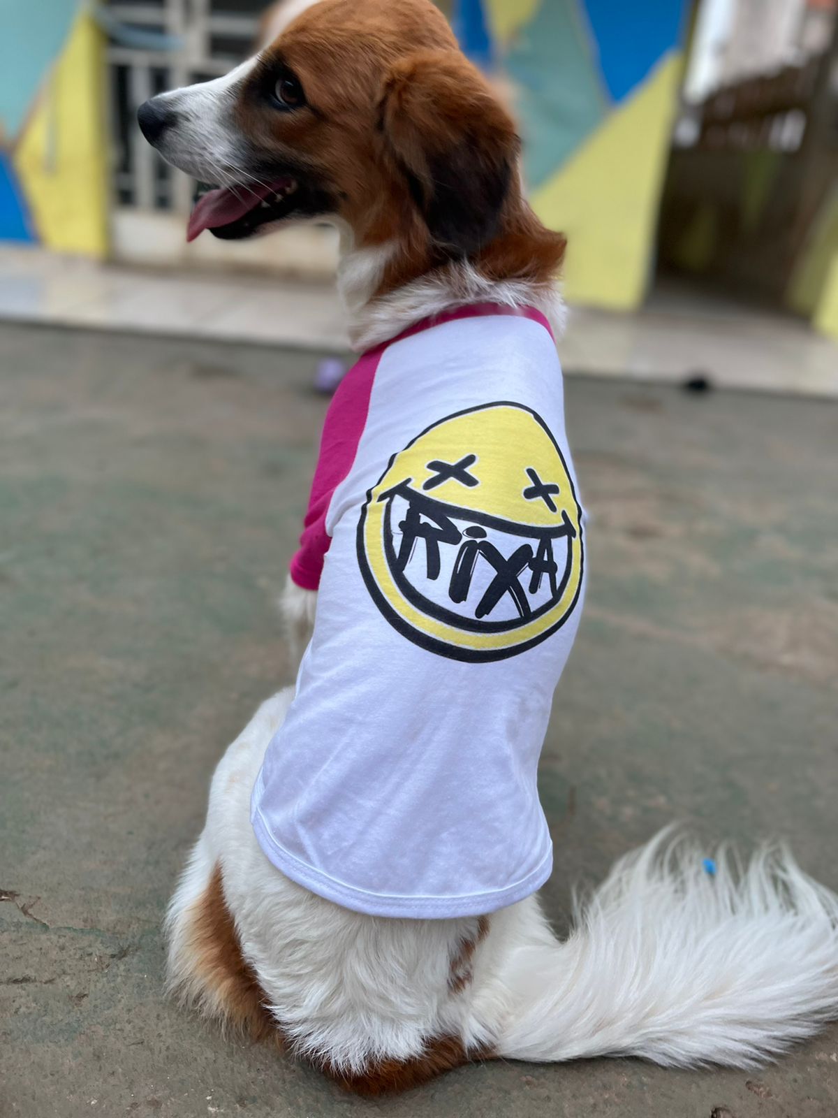 Nome do produto: Camisa Pet Dog - Smile Color