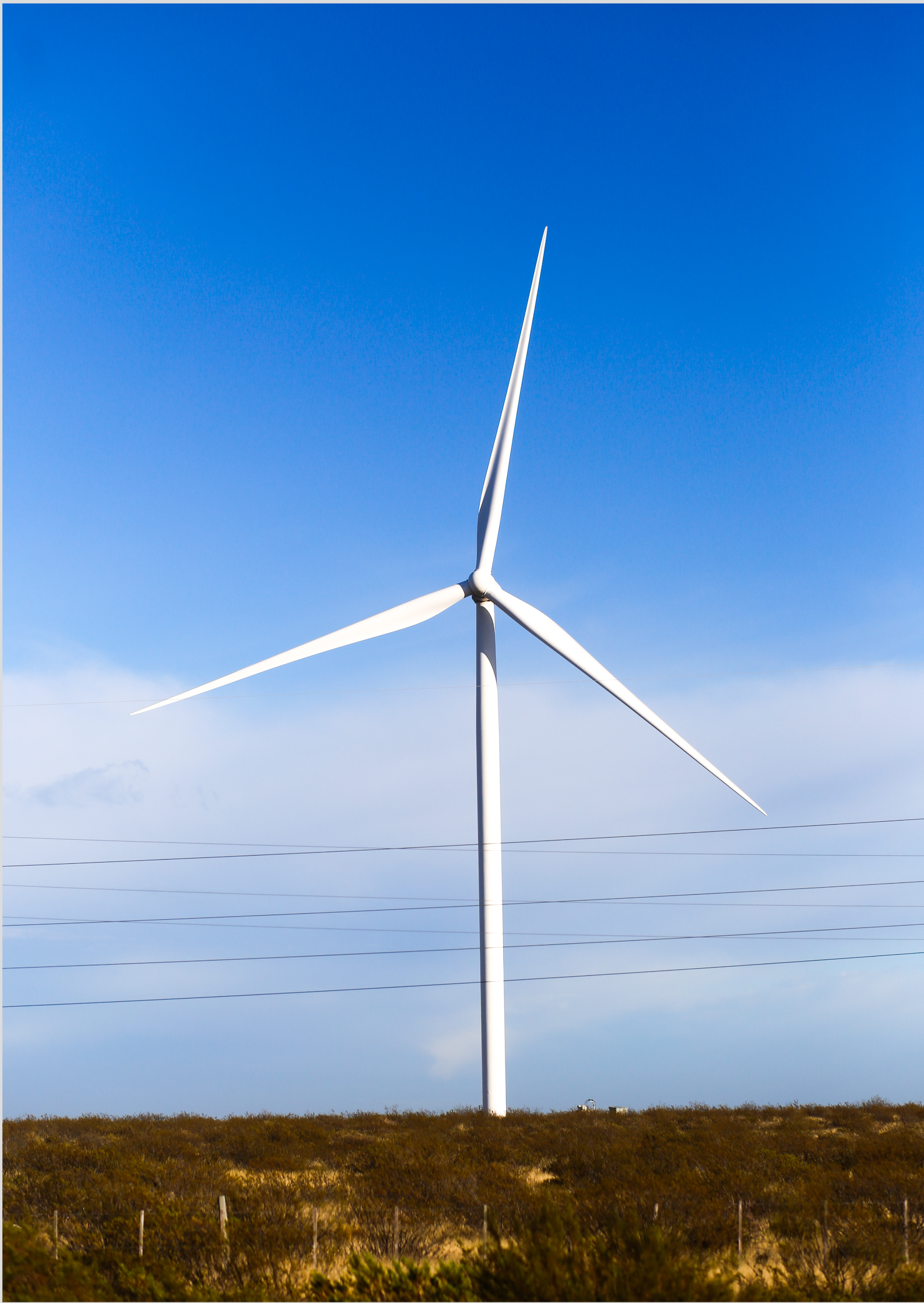 Nome do produto: POSTER ENERGIA EÓLICA