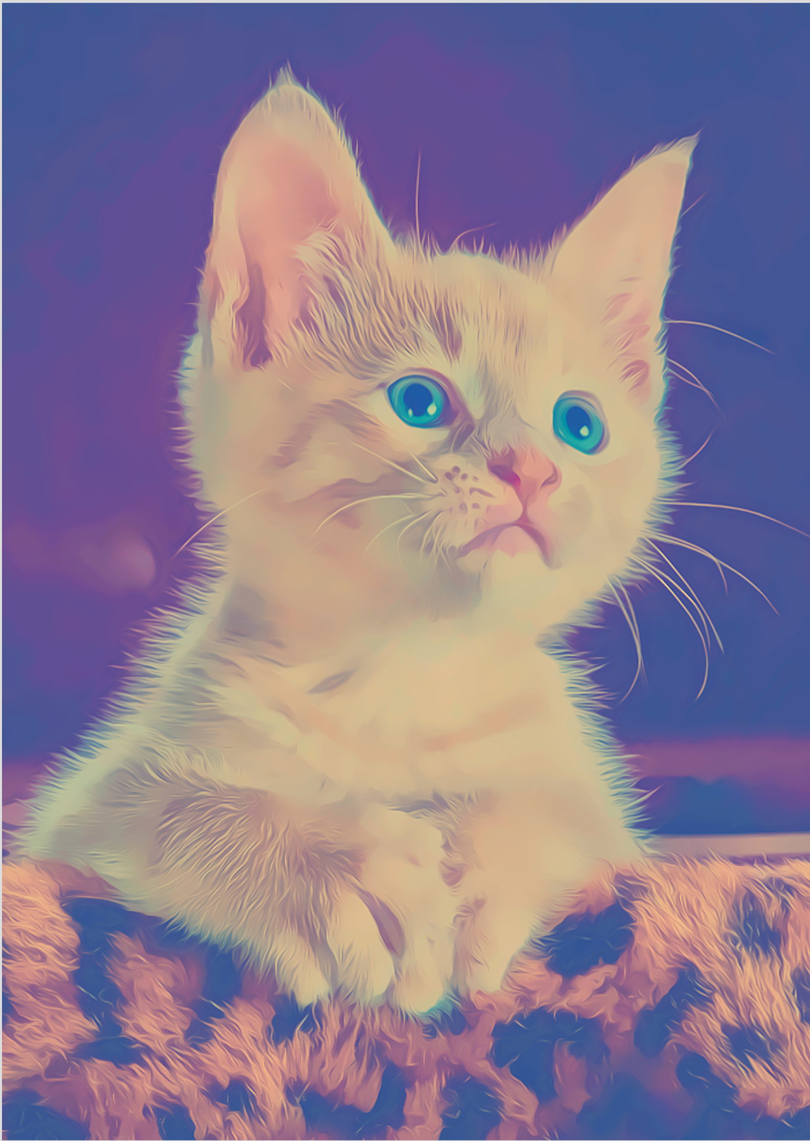 Nome do produto: Poster Gatinho 1