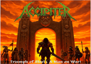 Accipiter - Triumph of Steel (A Man on War)