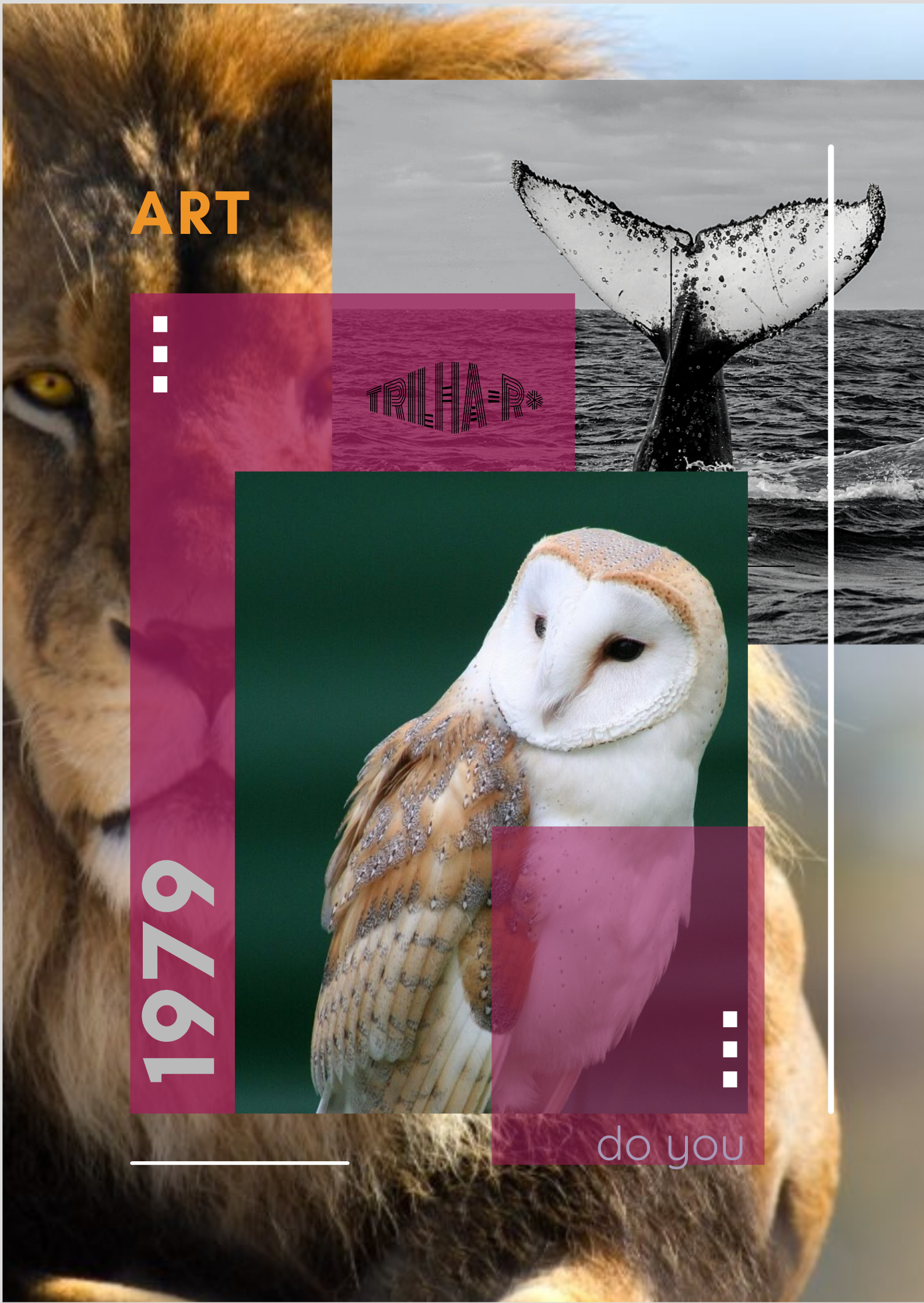 Nome do produto: poster coruja